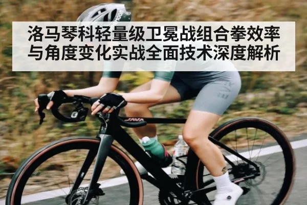 洛马琴科轻量级卫冕战组合拳效率与角度变化实战全面技术深度解析